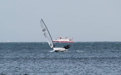 Studland 2025
